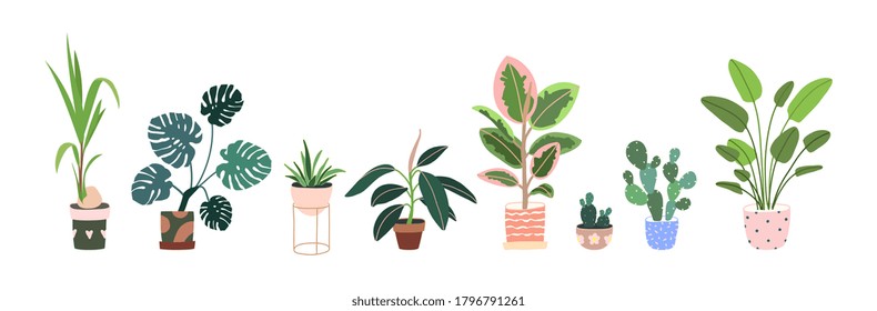 Home plants in flowerpot. Houseplants isolated. Trendy hugge style, urban jungle decor. Hand drawn. Set collection. Green, blue, pink, brown, beige, black colors. Print, poster, banner. Logo, label.