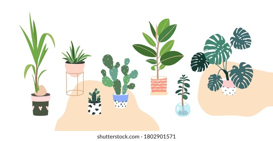 Home plants in flowerpot. Houseplants isolated. Trendy hugge style, urban jungle decor. Hand drawn. Set collection. Green, blue, pink, brown, beige pastel colors. Print, poster, banner. Logo, label.