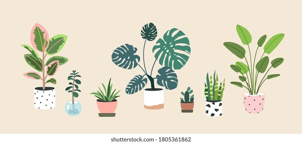 Home plants in flowerpot. Houseplants isolated. Trendy hugge style, urban jungle decor. Hand drawn. Set collection. Green, blue, pink, brown, beige pastel colors. Print, poster, banner. Logo, label.