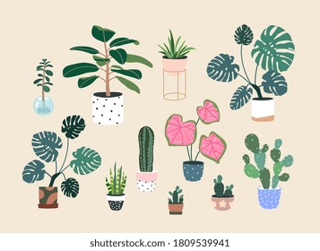 Home plants in flowerpot. Houseplants isolated. Trendy hugge style, urban jungle decor. Hand drawn. Set collection. Green, blue, pink, brown, beige pastel colors. Print, poster, banner. Logo, label.