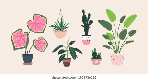 Home plants in flowerpot. Houseplants isolated. Trendy hugge style, urban jungle decor. Hand drawn. Set collection. Green, blue, pink, brown, beige pastel colors. Print, poster, banner. Logo, label.