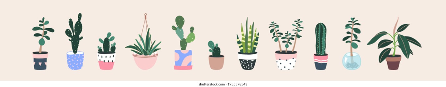 Home plants in flowerpot. Houseplants isolated. Trendy hugge style, urban jungle decor. Hand drawn. Set collection. Green, blue, pink, brown, beige pastel colors. Print, poster, banner. Logo, label.