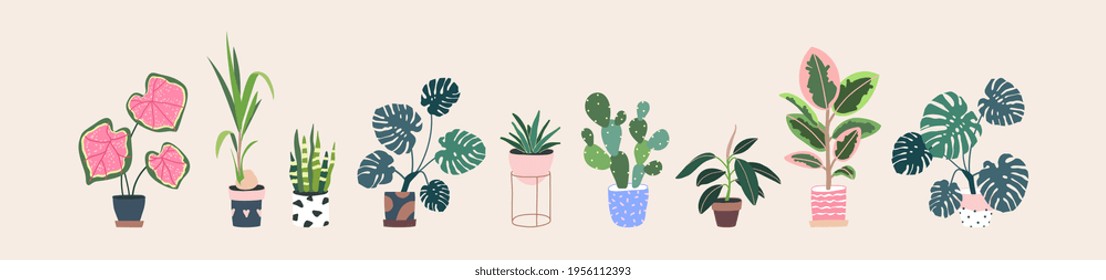 Home plants in flowerpot. Houseplants isolated. Trendy hugge style, urban jungle decor. Hand drawn. Set collection. Green, blue, pink, brown, beige pastel colors. Print, poster, banner. Logo, label.