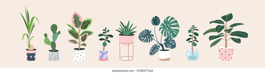 Home plants in flowerpot. Houseplants isolated. Trendy hugge style, urban jungle decor. Hand drawn. Set collection. Green, blue, pink, brown, beige pastel colors. Print, poster, banner. Logo, label.