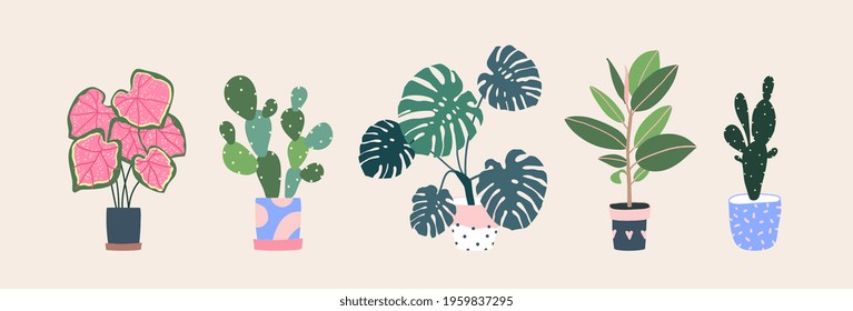 Home plants in flowerpot. Houseplants isolated. Trendy hugge style, urban jungle decor. Hand drawn. Set collection. Green, blue, pink, brown, beige pastel colors. Print, poster, banner. Logo, label.