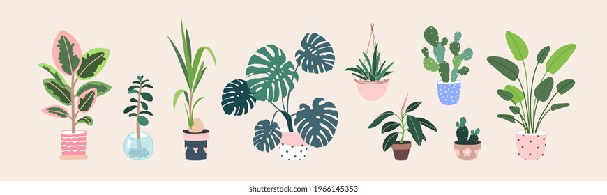 Home plants in flowerpot. Houseplants isolated. Trendy hugge style, urban jungle decor. Hand drawn. Set collection. Green, blue, pink, brown, beige pastel colors. Print, poster, banner. Logo, label.