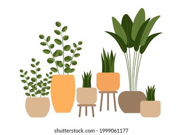 Home plants in flowerpot. Houseplants isolated. Trendy hugge style, urban jungle decor. Hand drawn. Set collection. Green, blue, pink, brown, beige pastel colors. Print, poster, banner. Logo, label.