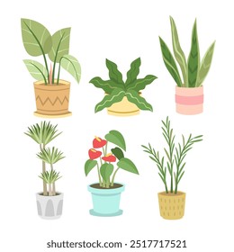 Home plants in flowerpot. Houseplants isolated. Trendy hugge style, urban jungle decor. Hand drawn. Set collection. Tropical, pastel colors