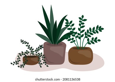 Plantas domésticas en maceta de flores. Icono realista. Dibujo artístico creativo. Flora interior. Ilustración vectorial. Imagen de archivo.