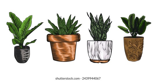 Home plants in flowerpot. Trendy hugge style, urban jungle decor. Hand drawn. Set collection. Green, blue, pink, brown, beige pastel colors. Print, poster, banner. Logo, label.