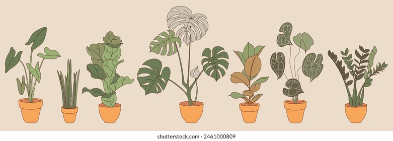 Home plants in flowerpot. Urban jungle, set of trendy potted plants for home. Different indoor houseplants isolated on white background. For printing, poster, logo, label.