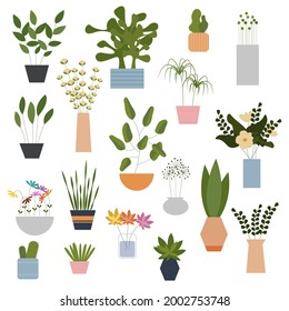 Colección de plantas y flores. Ilustración vectorial en estilo de dibujos animados planos