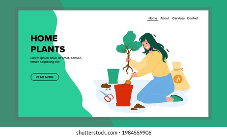 Home Plants Gardening Young Woman In Pot Vector. Home Plants Replanting In House Garden, Agricultural Hobby Occupation. Character Lady Care Natural Growing Tree Web Flat Cartoon Illustration