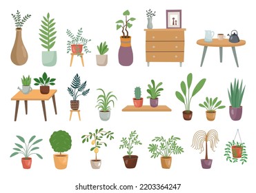 Home plants. House urban decor. Succulent garden. Modern hygge jungle. Indoor interior objects set. Flowers in trendy pots. Houseplants on tables and shelves. Vector flat illustration