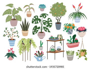 Home plants, houseplants set, green botanical house decor collection for home or office