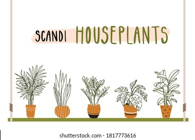Home plants, indoor flowers, houseplants in clay pots. Simple lines vector illustration in Scandinavian interior, trendy style sanseveria, monstera, zamiokulkas, calatea, palm. Warm pastel colors