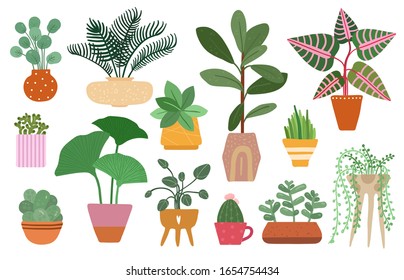 Home plants. Isolated plant in pot, planting ficus, yucca and fern. Tropical houseplant and succulents, indoor trees. Vector garden set