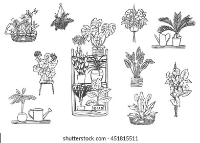 home plants line set