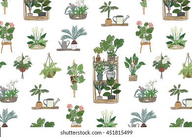home plants pattern