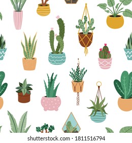 Home plants pattern. Seamless flower potted plant, decorative botanical indoor houseplant, home potted plants vector background illustration. Blooming cactus, succulent hanging on rope