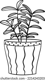 Home plants in pots. Herbal flowers in vase.