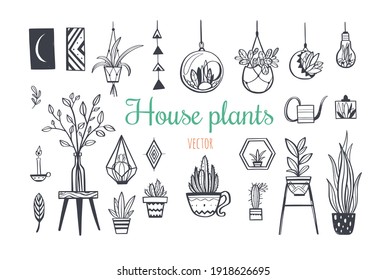 Home Plants in pots , house plants, cactus decoration set