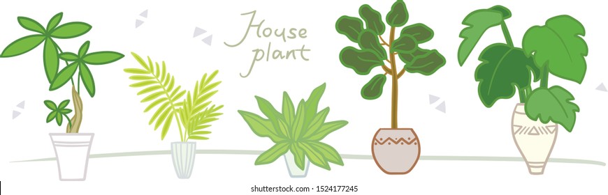 Home plants in pots. Nature houseplants, decoration potted houseplant and flower plant planting in pot or garden decorative flowerpot. Succulent, monstera ficus vector isolated icons illustration set