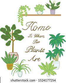 Home plants in pots. Nature houseplants, decoration potted houseplant and flower plant planting in pot or garden decorative flowerpot. Succulent, monstera ficus vector isolated icons illustration set