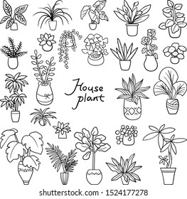 Home plants in pots. Nature houseplants, decoration potted houseplant and flower plant planting in pot or garden decorative flowerpot. Succulent, monstera ficus vector isolated icons illustration set