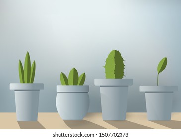 Home plants in pots on the table