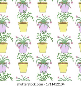 Plantas domésticas en macetas sin fisuras en un fondo blanco. Papel tapiz, tela, sitio, cubierta