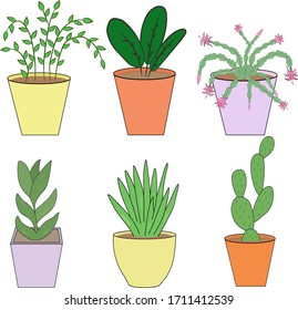 Plantas domésticas en ollas, Set.Imagen vectorial. Objetos aislados.