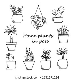 Home plants in pots. Vector black and white image. Poster, set of elements for design.