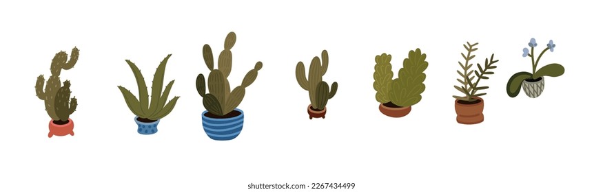  home plants in pots vector illustration set. Interior houseplants in planters and flowerpots. Home indoor green decor. cacti, foliage. Flat diary and notebook stickers