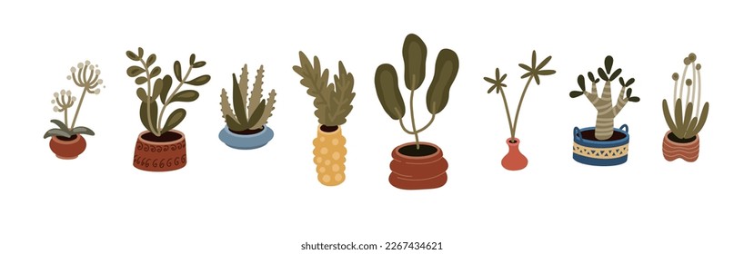  home plants in pots vector illustration set. Interior houseplants in planters and flowerpots. Home indoor green decor. cacti, foliage. Flat diary and notebook stickers