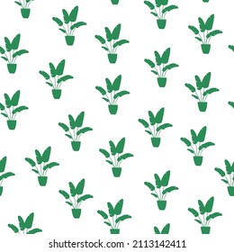 Home plants seamless pattern. Vector illustration