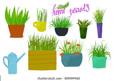 home plants set