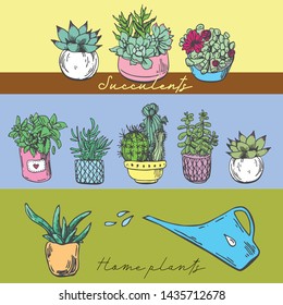 Home plants set. Beautiful hand drawn sketch style illustrations.