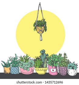 Home plants set. Beautiful hand drawn sketch style illustrations.