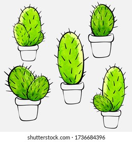 
home plants. set of cacti isolated on white background