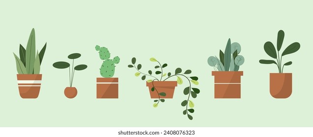 Home plants set. Flowerpots with tropical leaves, cactus. Comfort and coziness indoor. Agriculture, botany and horticulture. Cartoon flat vector collection isolated on green background