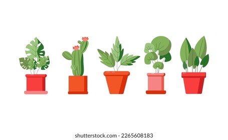 Instalaciones domésticas. Flores en macetas. Una planta de una casa, una maceta.  Cuchara de cerámica. Ilustración vectorial en un fondo aislado.