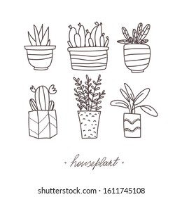 Home plants set set on an isolated background. Flower greenhouse in the house, garden, vegetable garden. Concept: logo for flower shop, icon for printing design. Hand illustration. Vector. EPS 10.