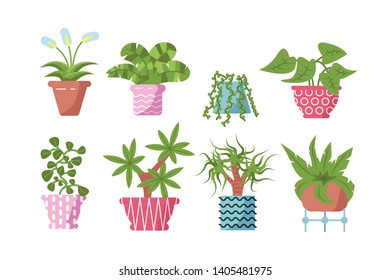 Home plants set vector illustration. Composition consists of different decorative and deciduous flowers in pots flat style design. Isolated on white background