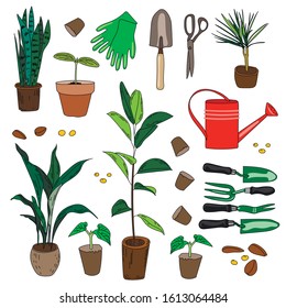 Home plants and tools for their care: a set of stickers or elements for the design of posters, labels, and other printing. Vector drawing.
