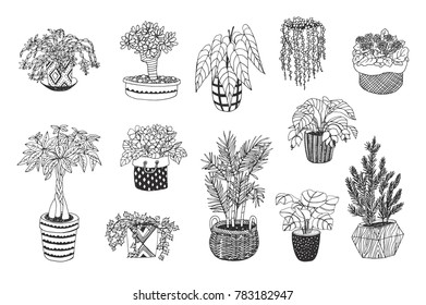home plants vector cartoon hand drawn illustrations set