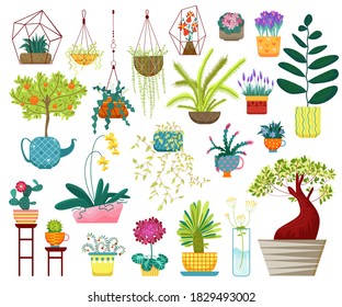 Home plants vector illustration. Cartoon flat house indoor decoration collection with hanging planters, succulent houseplants in pot or vase, potted tree for home garden and balcony isolated on white