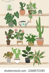 Home plants vector illustrations set.