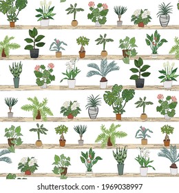 Home plants vector seamless pattern