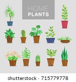 home plants vector set
